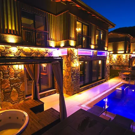 Champion فيلة أورتاجا