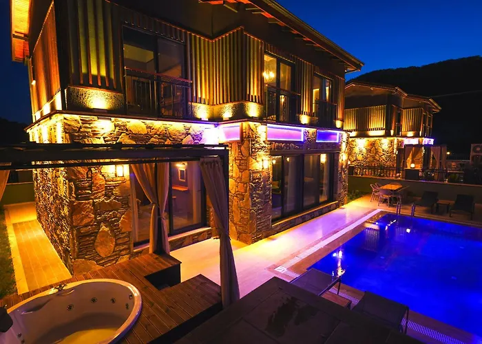 Champion فيلة أورتاجا